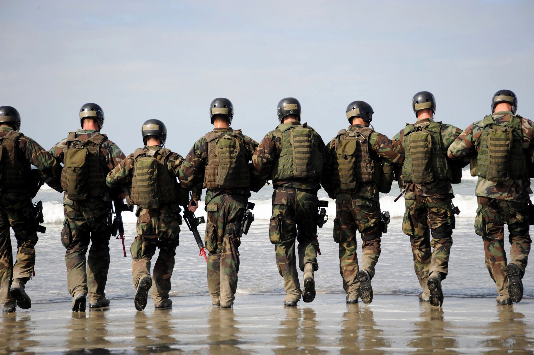 Military personnel representing defense sector